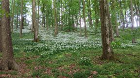 Mehr Natur ohne Verbote ist das erklärte Ziel